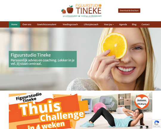 Figuurstudio Tineke Logo